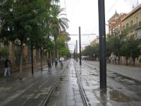 SevillaDays 0113  This is near the Universidad de Sevilla.